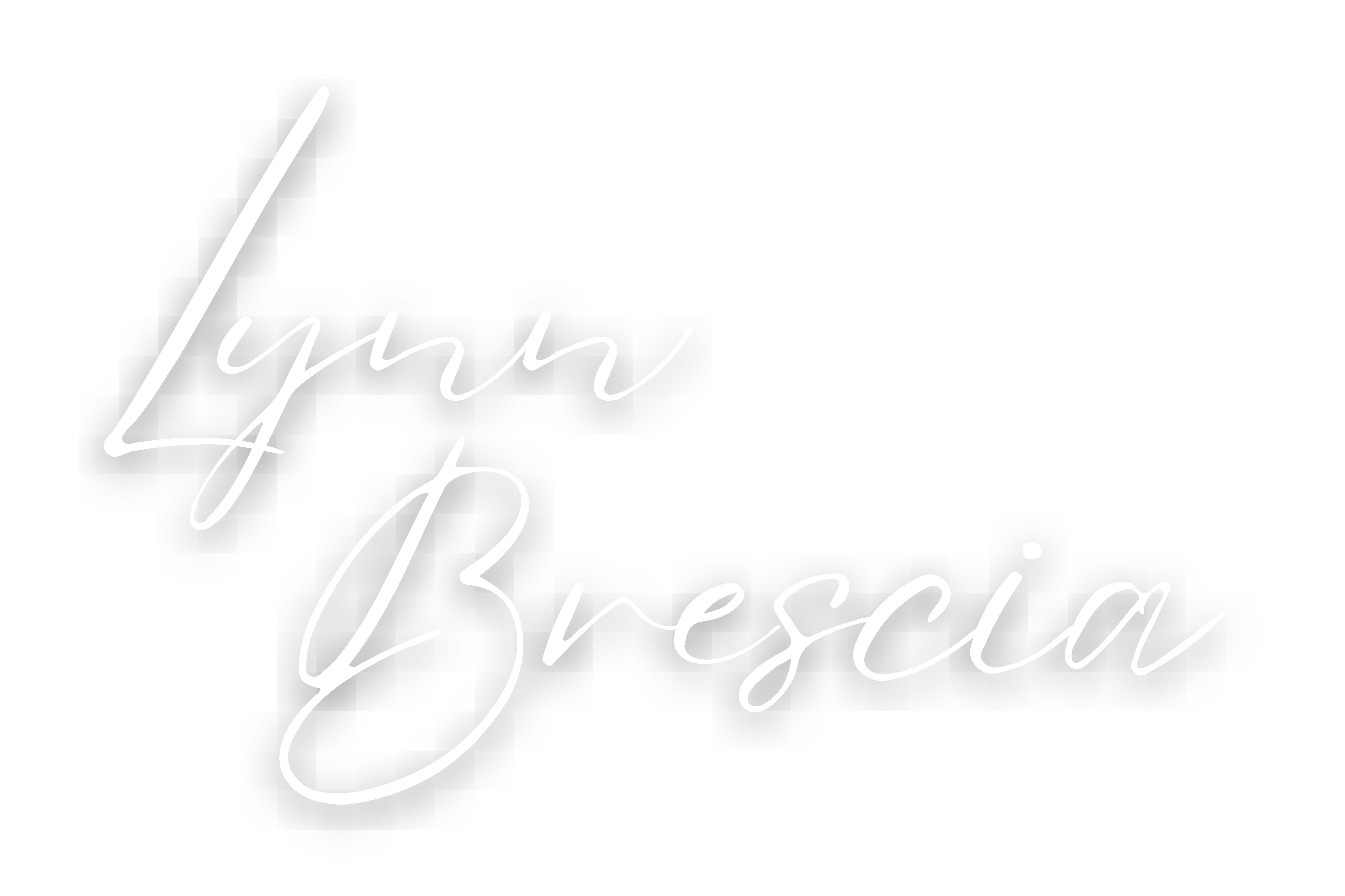 Carole Lynn Brescia Top Real Estate Agent Realtor in Northern New Jersey